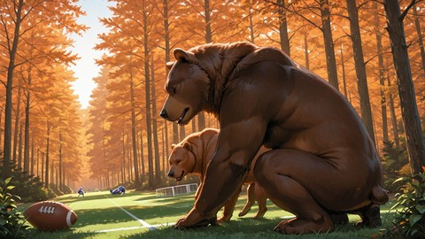 Orange Afternoon Nature NFL smartphone wallpaper free download, vertical 9:16 format, Orange, Afternoon, Nature, Summer